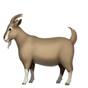 Émoji 🐐 Chèvre sur Apple iOS 13.3.