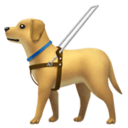 🦮 Emoji Blindenhund Apple iOS 13.3.