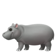 Émoji 🦛 Hippopotame sur Apple iOS 13.3.