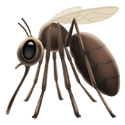 🦟 Emoji Mosquito en Apple iOS 13.3.