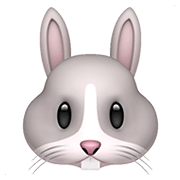Émoji 🐰 Tête De Lapin sur Apple iOS 13.3.