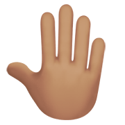 Emoji 🤚🏽 Dorso Mano Alzata: Carnagione Olivastra su Apple iOS 13.3.