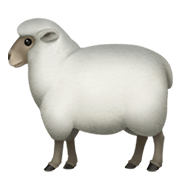 Émoji 🐑 Mouton sur Apple iOS 13.3.