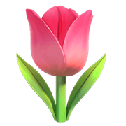 Émoji 🌷 Tulipe sur Apple iOS 13.3.