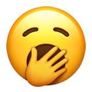 Emoji 🥱 Faccina Che Sbadiglia su Apple iOS 13.3.