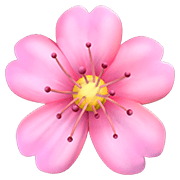 🌸 Emoji Flor De Cerezo en Apple iOS 14.2.
