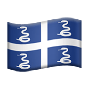Emoji 🇲🇶 Bandiera: Martinica su Apple iOS 14.2.
