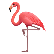 🦩 Emoji Flamingo na Apple iOS 14.2.