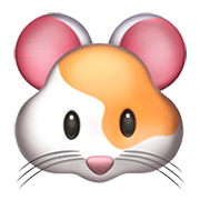 Émoji 🐹 Hamster sur Apple iOS 14.2.