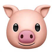Émoji 🐷 Tête De Cochon sur Apple iOS 14.2.