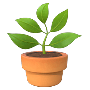Émoji 🪴 Plante En Pot sur Apple iOS 14.2.