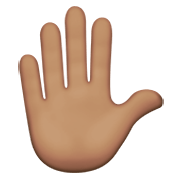 ✋🏽 Emoji erhobene Hand: mittlere Hautfarbe Apple iOS 14.2.
