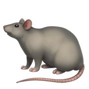 Émoji 🐀 Rat sur Apple iOS 14.2.