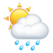 🌦️ Emoji Sol Detrás De Una Nube Con Lluvia en Apple iOS 14.2.