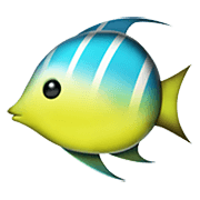 Emoji 🐠 Pesce Tropicale su Apple iOS 14.2.