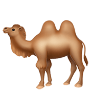 🐫 Emoji Camelo Com Duas Corcovas na Apple iOS 14.2.