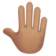 🤚🏽 Emoji erhobene Hand von hinten: mittlere Hautfarbe Apple iOS 14.5.