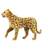 🐆 Emoji Leopardo en Apple iOS 15.4.