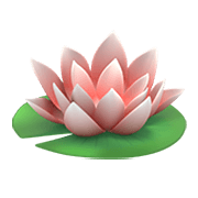 Émoji 🪷 Lotus sur Apple iOS 15.4.