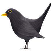 Émoji 🐦‍⬛ Oiseau Noir sur Apple iOS 16.4.
