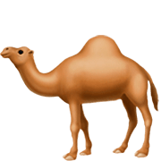 🐪 Emoji Camelo na Apple iOS 16.4.
