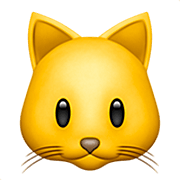 Emoji 🐱 Muso Di Gatto su Apple iOS 16.4.