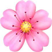 🌸 Emoji Flor De Cerezo en Apple iOS 16.4.
