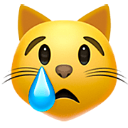 😿 Emoji Rosto De Gato Chorando na Apple iOS 16.4.