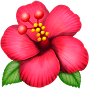 Émoji 🌺 Hibiscus sur Apple iOS 16.4.