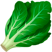 Émoji 🥬 Légume à Feuilles Vertes sur Apple iOS 16.4.