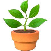 Émoji 🪴 Plante En Pot sur Apple iOS 16.4.