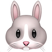 🐰 Emoji Cara De Conejo en Apple iOS 16.4.