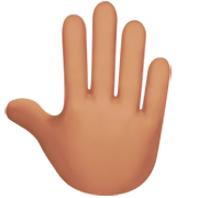 🤚🏽 Emoji erhobene Hand von hinten: mittlere Hautfarbe Apple iOS 16.4.