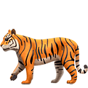 Émoji 🐅 Tigre sur Apple iOS 16.4.