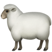 Émoji 🐑 Mouton sur Apple iOS 17.4.