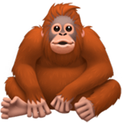 🦧 Emoji Orangután en Apple iOS 17.4.