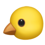 Emoji 🐤 Pulcino su Apple iOS 17.4.
