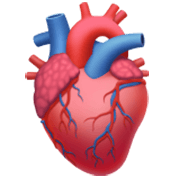 Corazón anatómico Apple iOS 17.4.