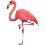 🦩 Emoji Flamingo na Apple iOS 17.4.