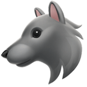 Émoji 🐺 Loup sur Apple iOS 17.4.