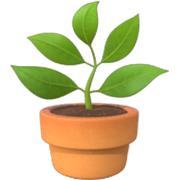 Émoji 🪴 Plante En Pot sur Apple iOS 17.4.