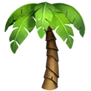 🌴 Emoji Palmeira na Apple iOS 17.4.