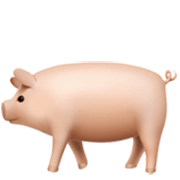 🐖 Emoji Schwein Apple iOS 17.4.