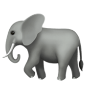 Emoji 🐘 Elefante su Apple iOS 17.4.