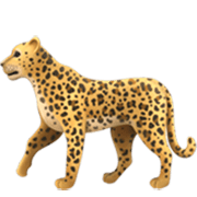 🐆 Emoji Leopardo en Apple iOS 17.4.