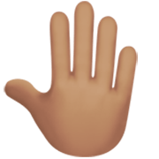 🤚🏽 Emoji erhobene Hand von hinten: mittlere Hautfarbe Apple iOS 17.4.