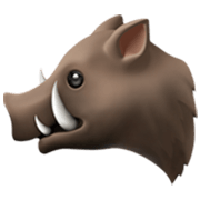 🐗 Emoji Wildschwein Apple iOS 17.4.