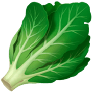 Émoji 🥬 Légume à Feuilles Vertes sur Apple iOS 17.4.