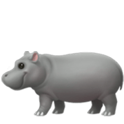 🦛 Emoji Hipopótamo na Apple iOS 17.4.