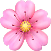 🌸 Emoji Flor De Cerezo en Apple iOS 17.4.